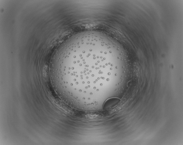 X0000072490650200608041417