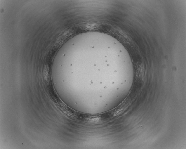 X0000072490651200608041417