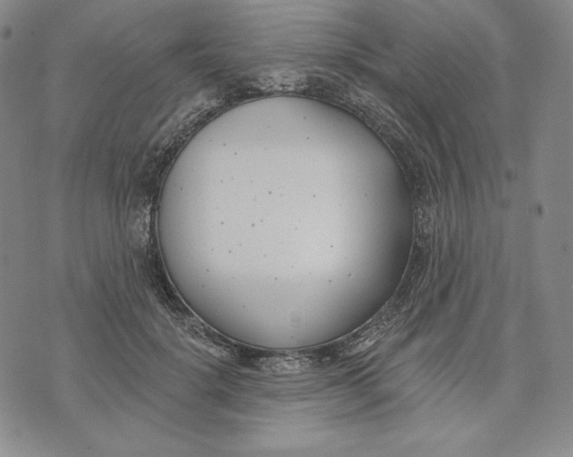 X0000072490652200608041417