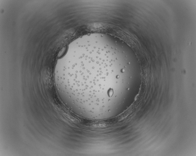 X0000072490653200608041417