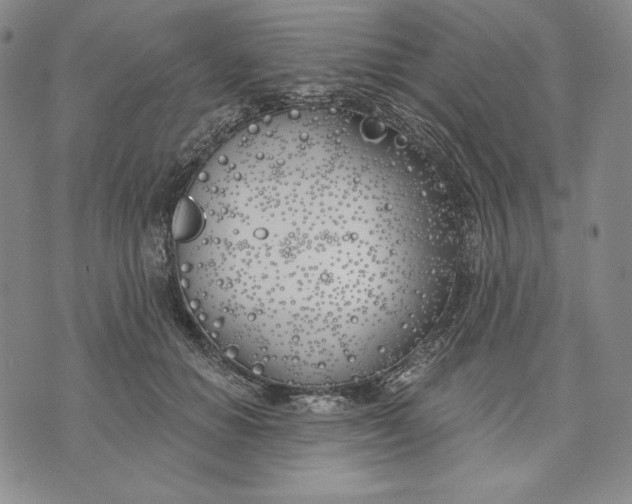 X0000072490654200608041417