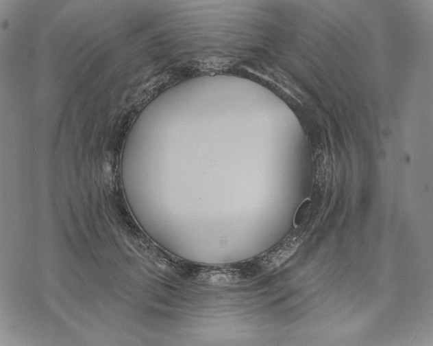 X0000072490655200608041417