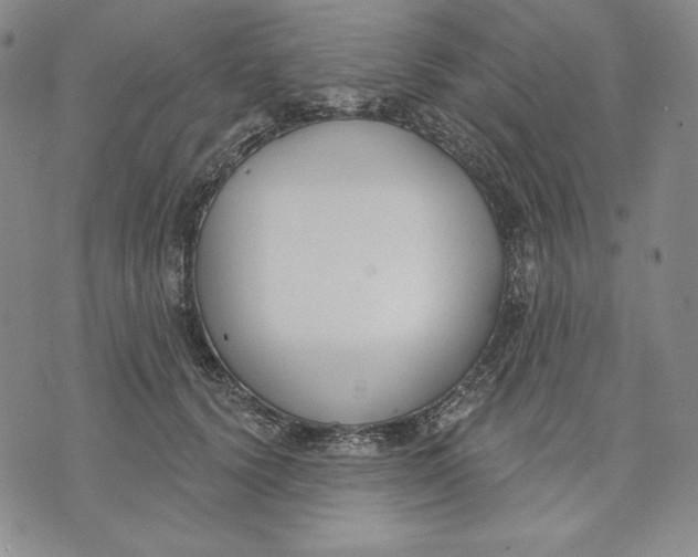 X0000072490656200608041417