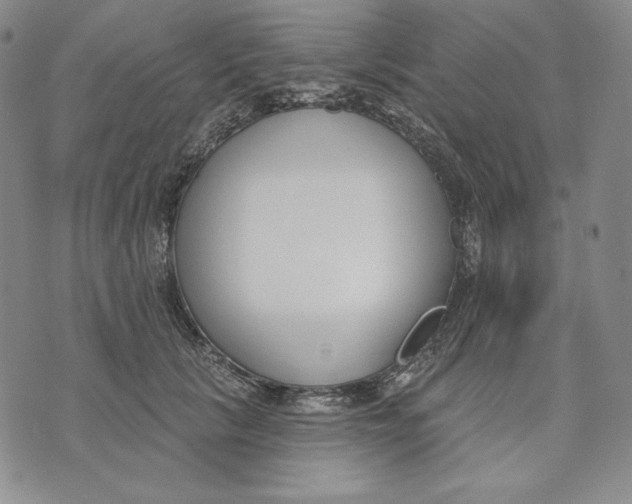 X0000072490657200608041417