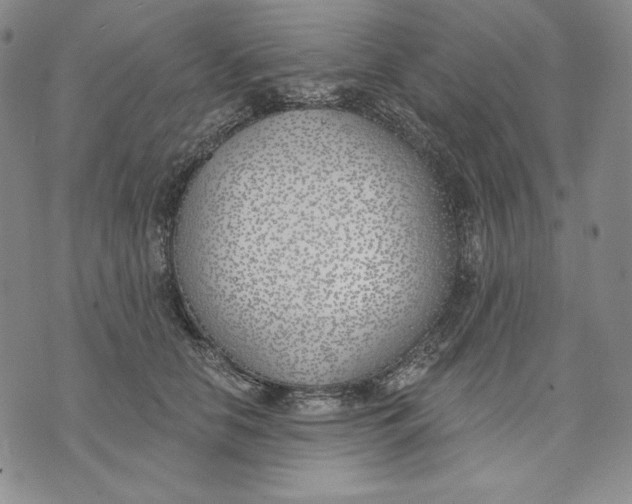 X0000072490658200608041417