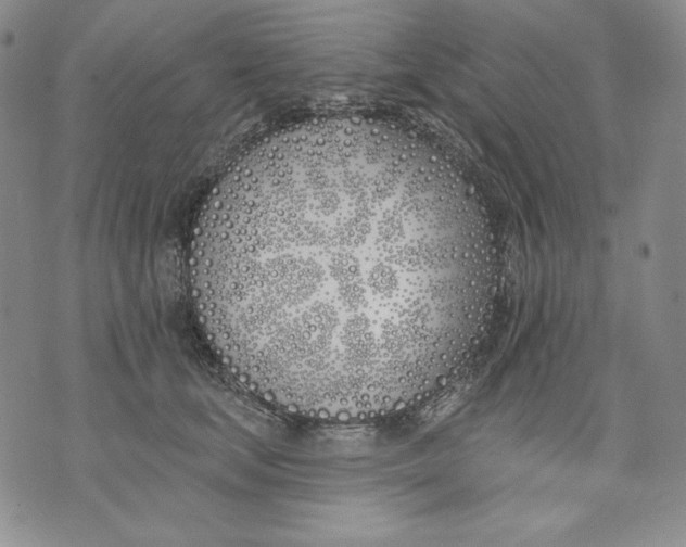 X0000072490659200608041417