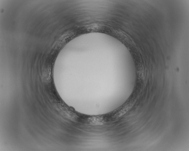 X0000072490660200608041417