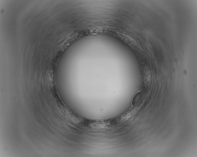 X0000072490661200608041417