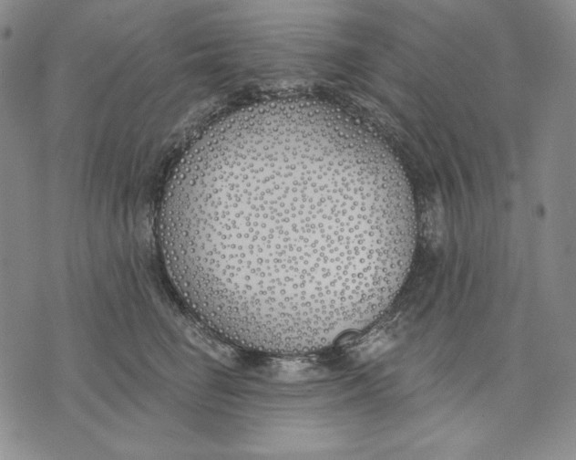 X0000072490662200608041417