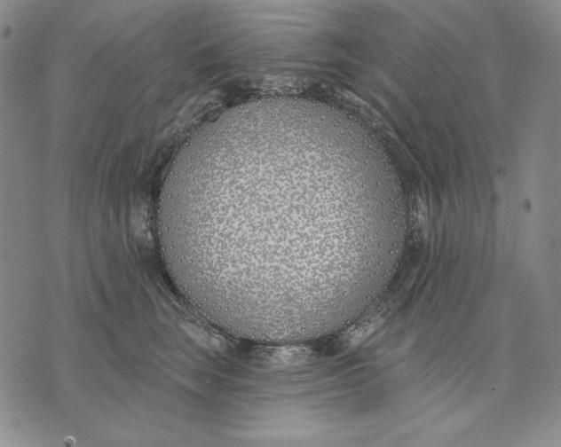 X0000072490663200608041417