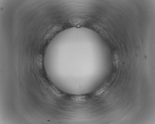 X0000072490664200608041417