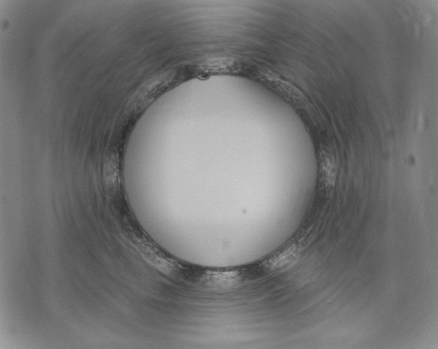 X0000072490665200608041417