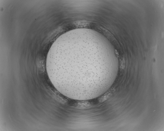 X0000072490666200608041417