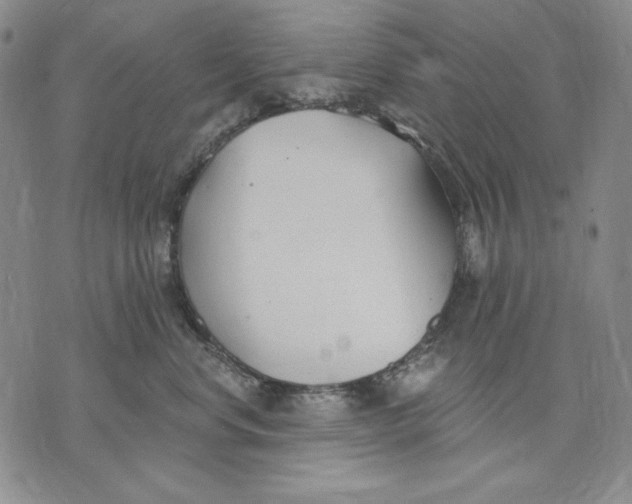 X0000072490668200608041417