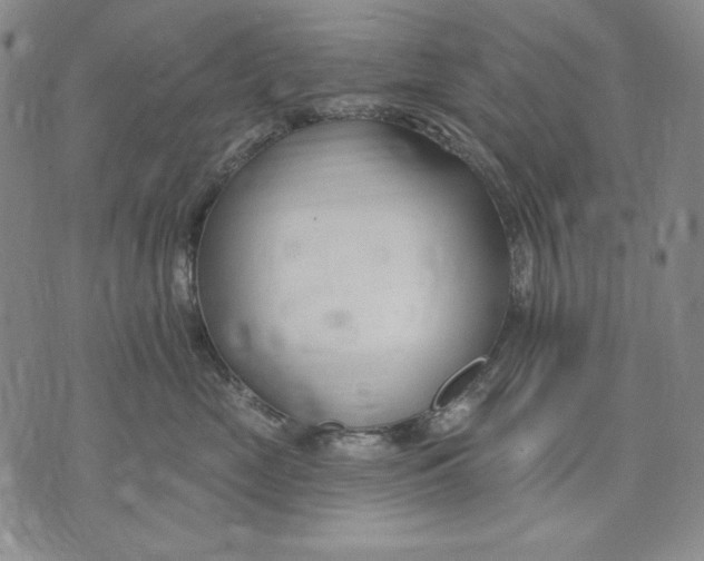 X0000072490669200608041417