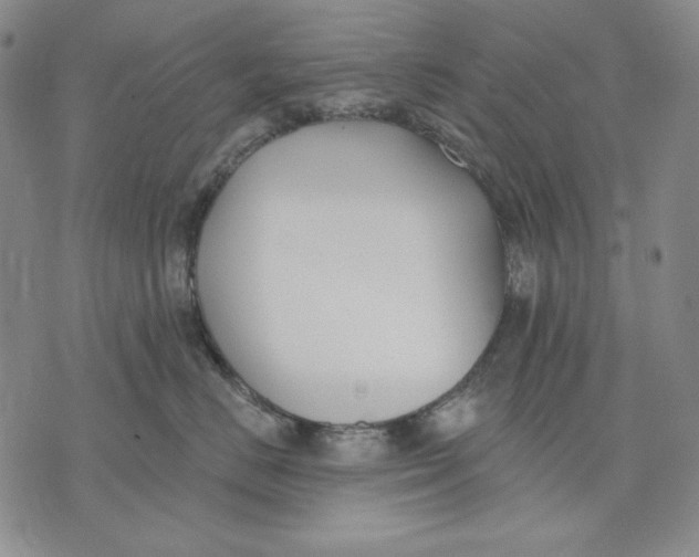 X0000072490670200608041417