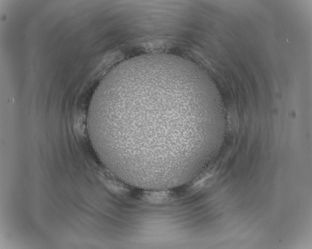 X0000072490671200608041417