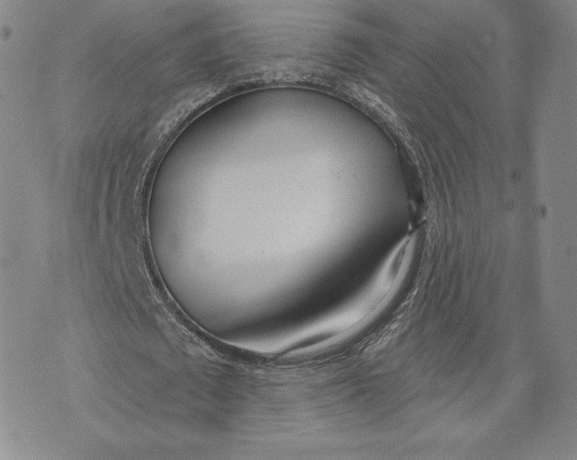 X0000072490673200608041417