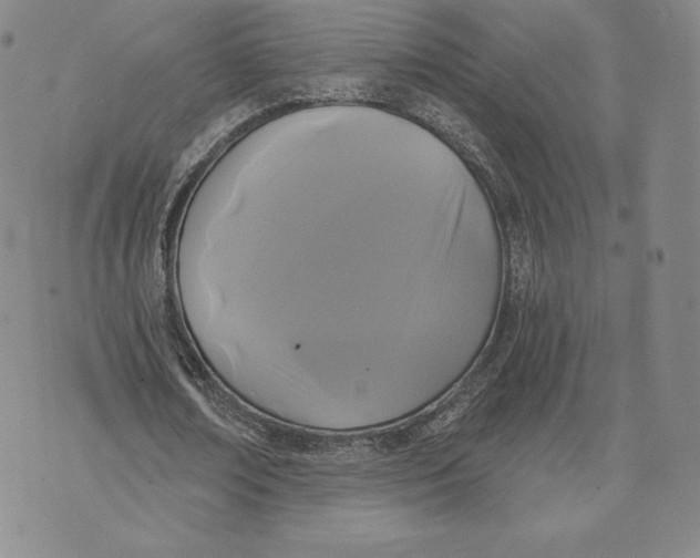 X0000072490674200608041417