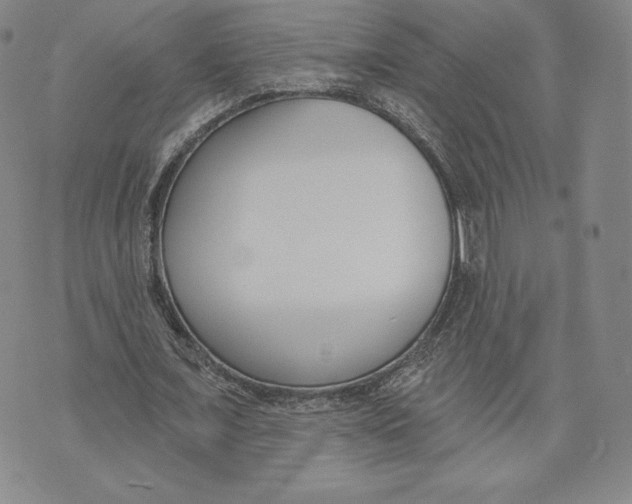 X0000072490675200608041417