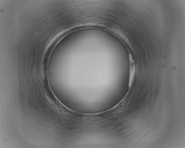 X0000072490676200608041417