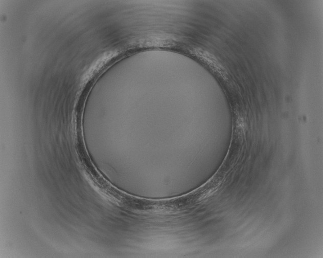 X0000072490678200608041416