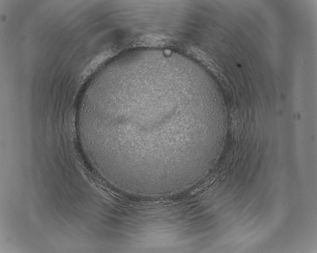 X0000072490679200608041416