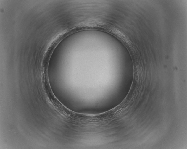 X0000072490680200608041416