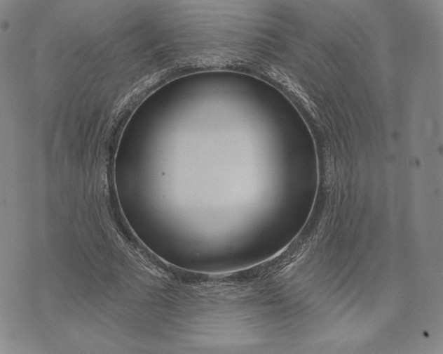 X0000072490681200608041416