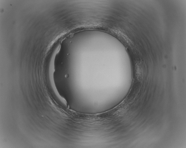 X0000072490684200608041416