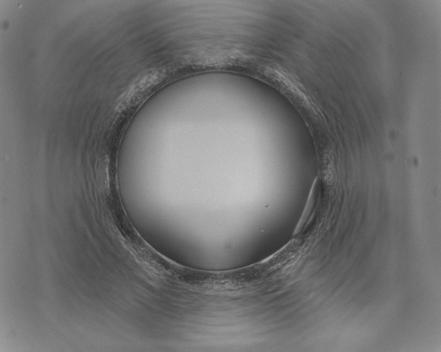 X0000072490685200608041416