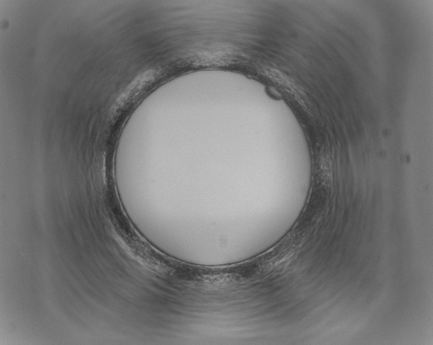 X0000072490686200608041416