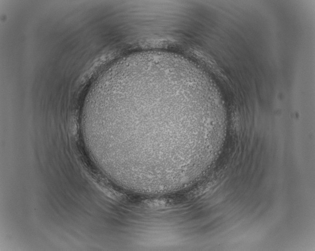 X0000072490687200608041416