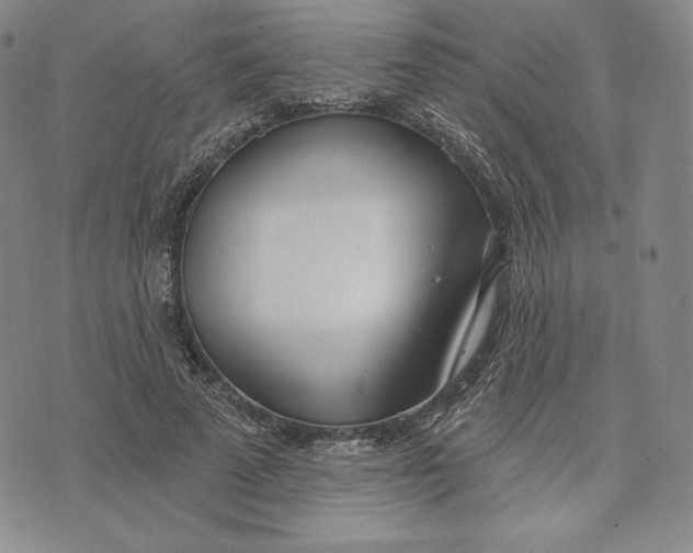 X0000072490689200608041416