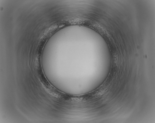 X0000072490690200608041416