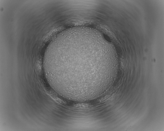 X0000072490691200608041416