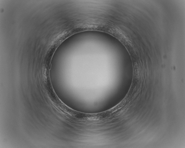 X0000072490692200608041416