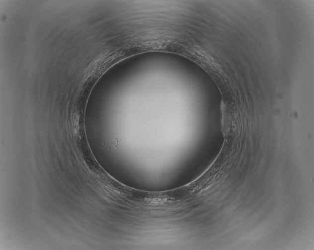 X0000072490693200608041416