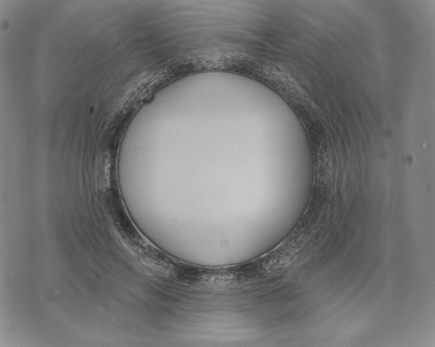 X0000072490694200608041416