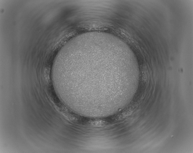 X0000072490695200608041416