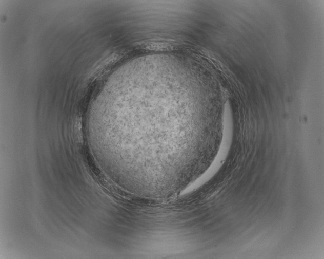 X0000072490696200608041416