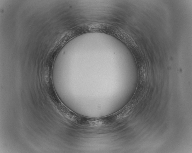 X0000072490698200608041416