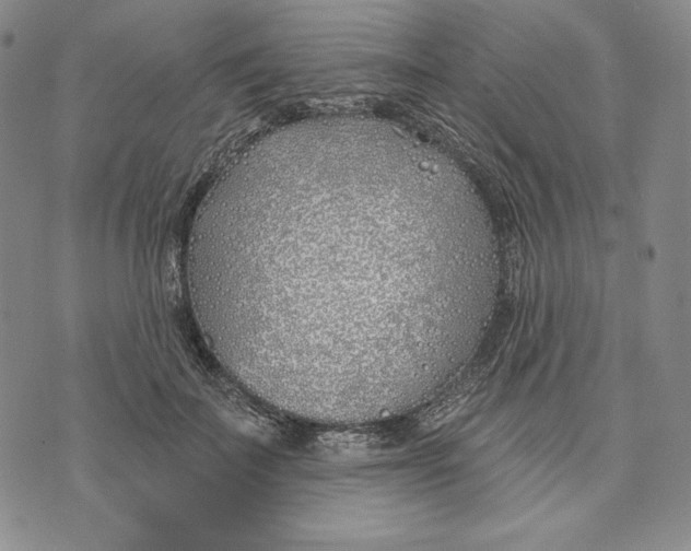 X0000072490699200608041416