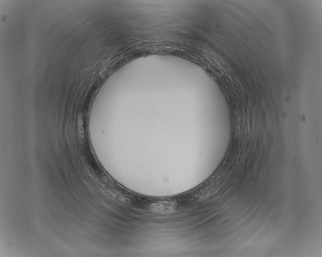 X0000072490700200608041416