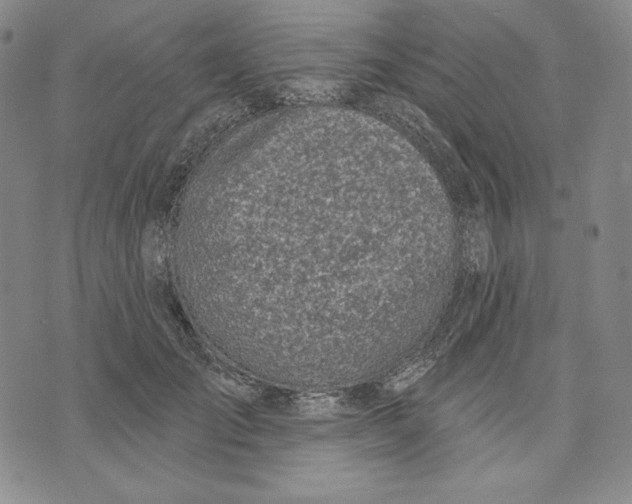 X0000072490701200608041416