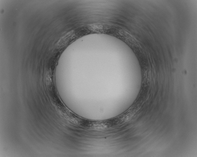 X0000072490702200608041416