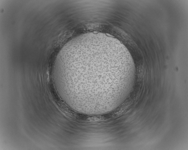 X0000072490703200608041416