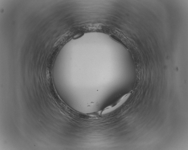 X0000072490704200608041416