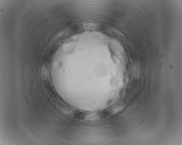 X0000072490705200608041416