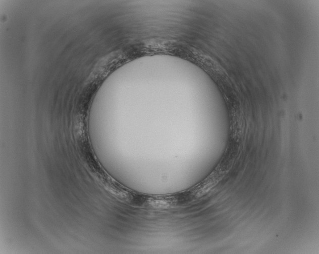 X0000072490706200608041416